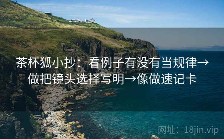 茶杯狐小抄：看例子有没有当规律→做把镜头选择写明→像做速记卡