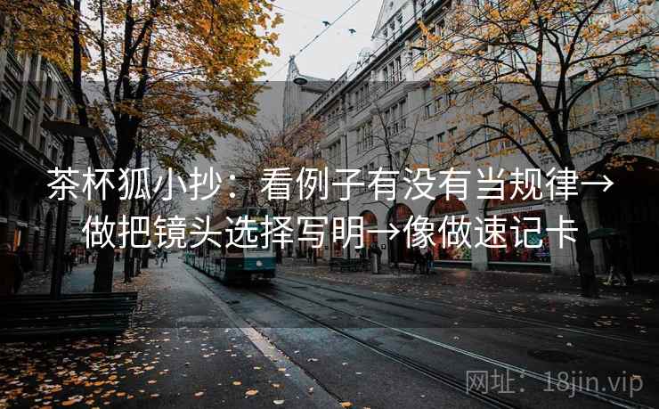 茶杯狐小抄：看例子有没有当规律→做把镜头选择写明→像做速记卡