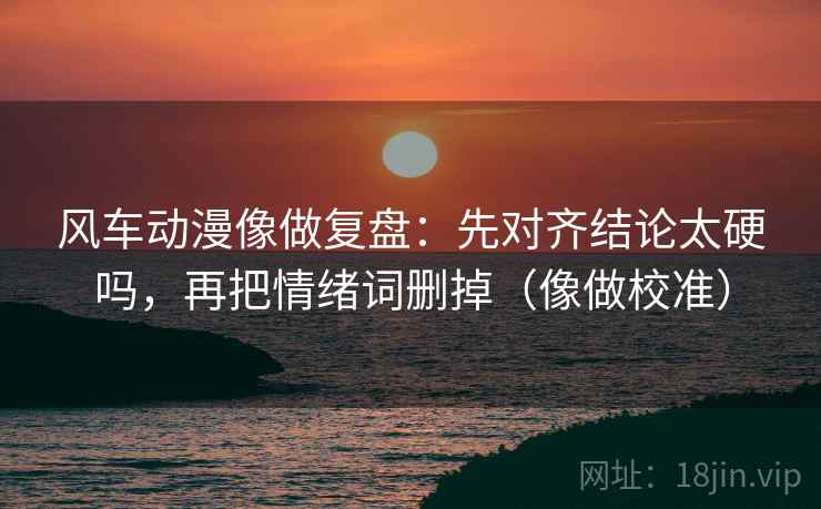 风车动漫像做复盘：先对齐结论太硬吗，再把情绪词删掉（像做校准）